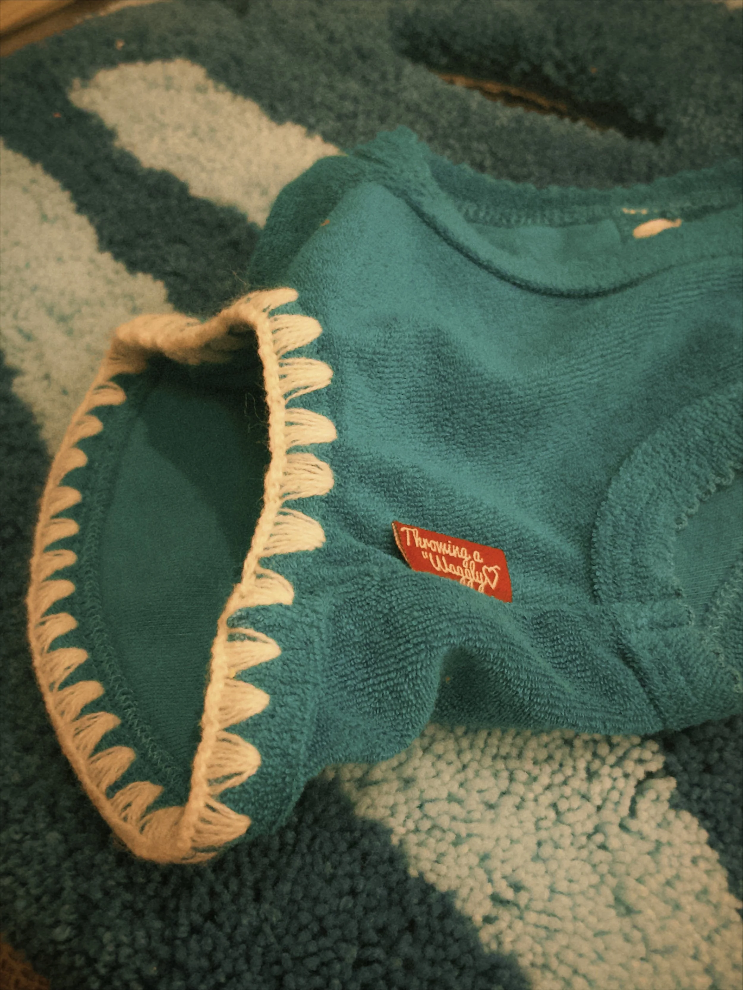 fxn 2026-02-12 1845125E4B64DA8946.jpeg