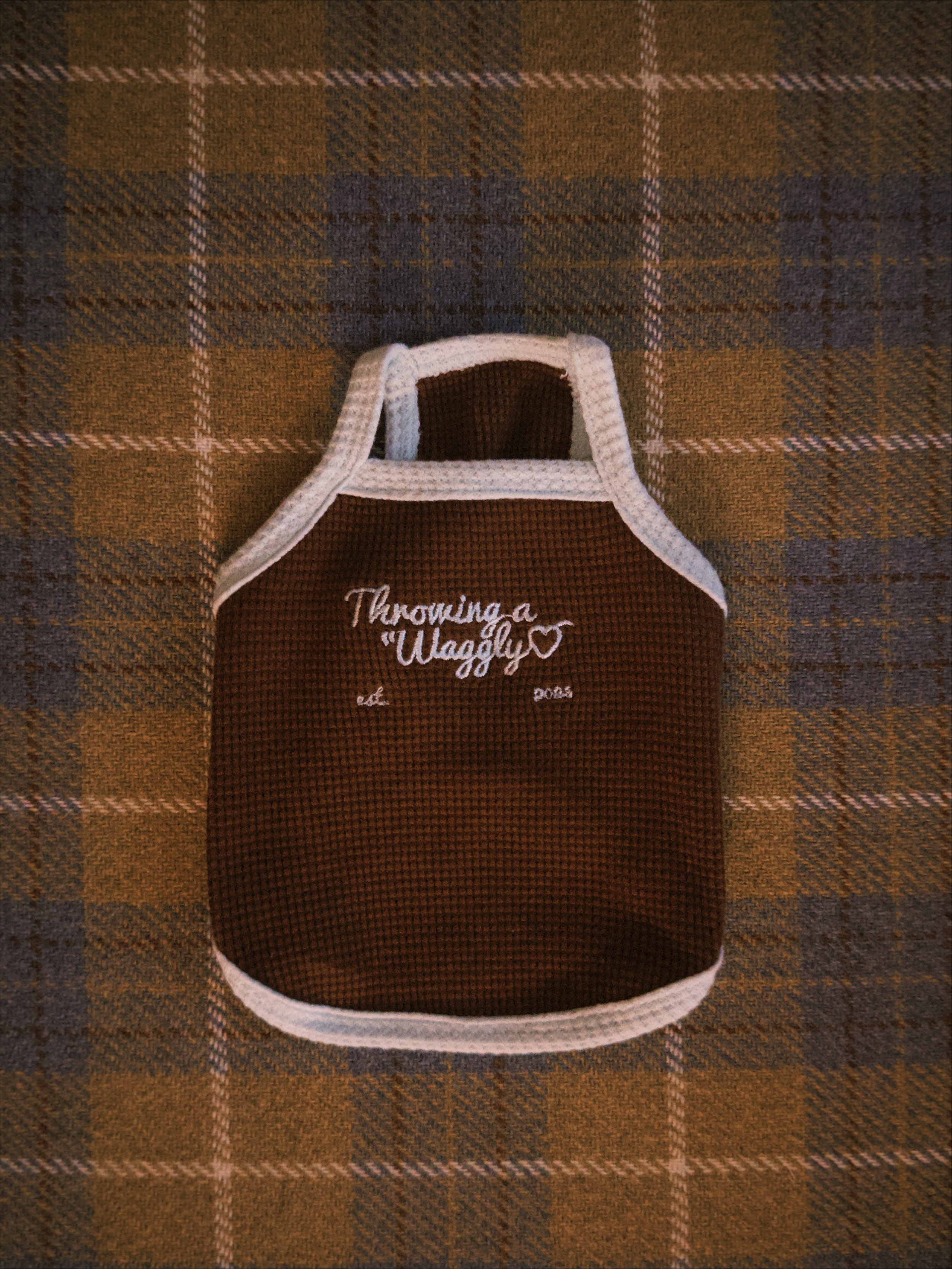 fxn 2026-02-12 183109BF021B15EF68.jpeg