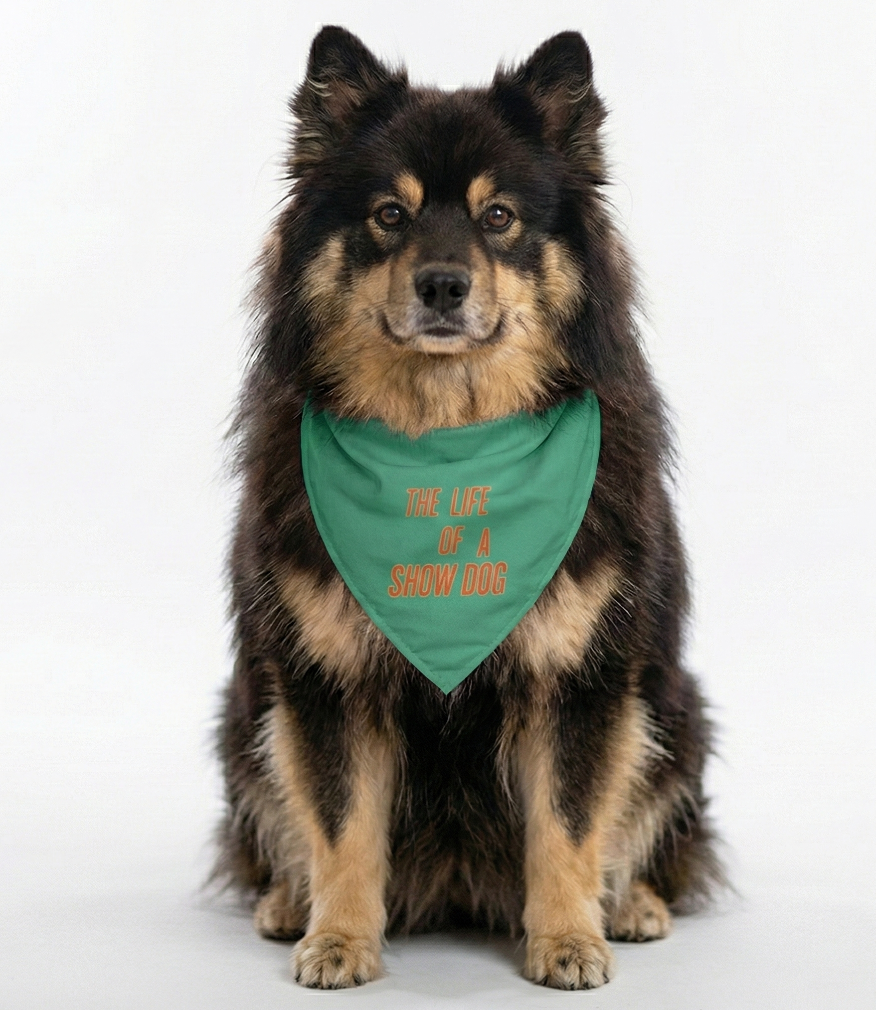 Life of a Show Dog bandana