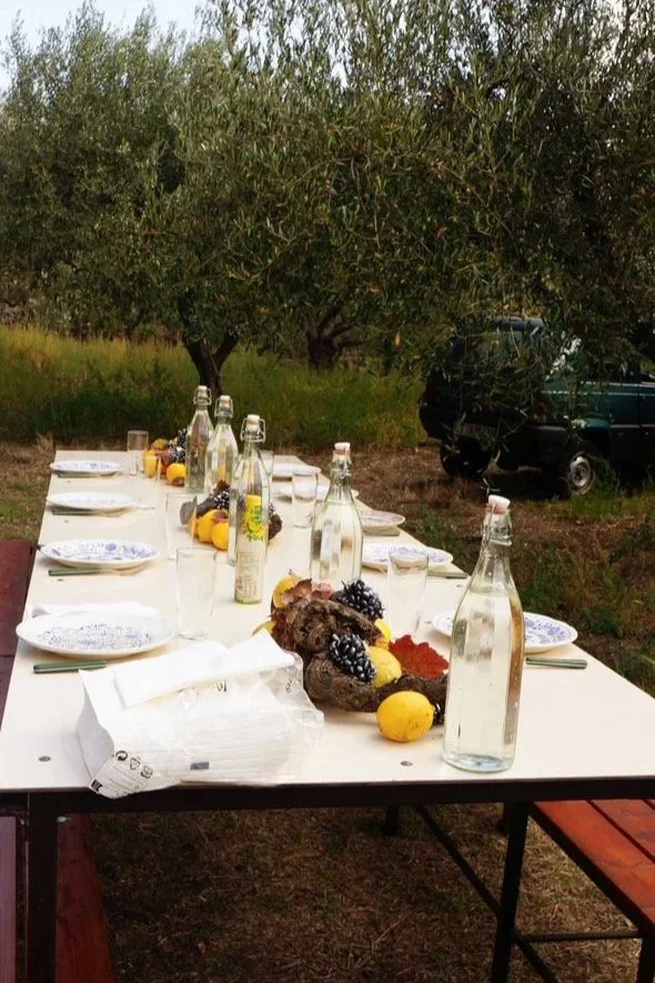 Long outdoor table set for a meal with water bottles, plates, and a centerpiece featuring pinecones, grapes, and lemons. In the background, there are trees and a vehicle.