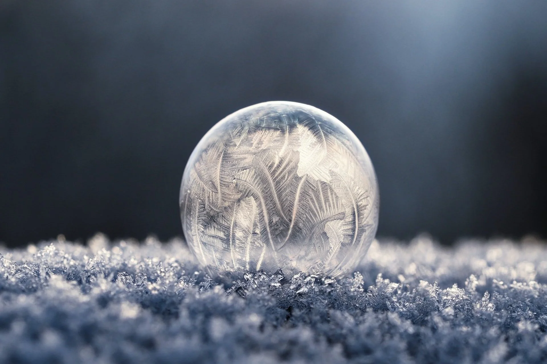 Winter Solstice and new moon in Capricorn