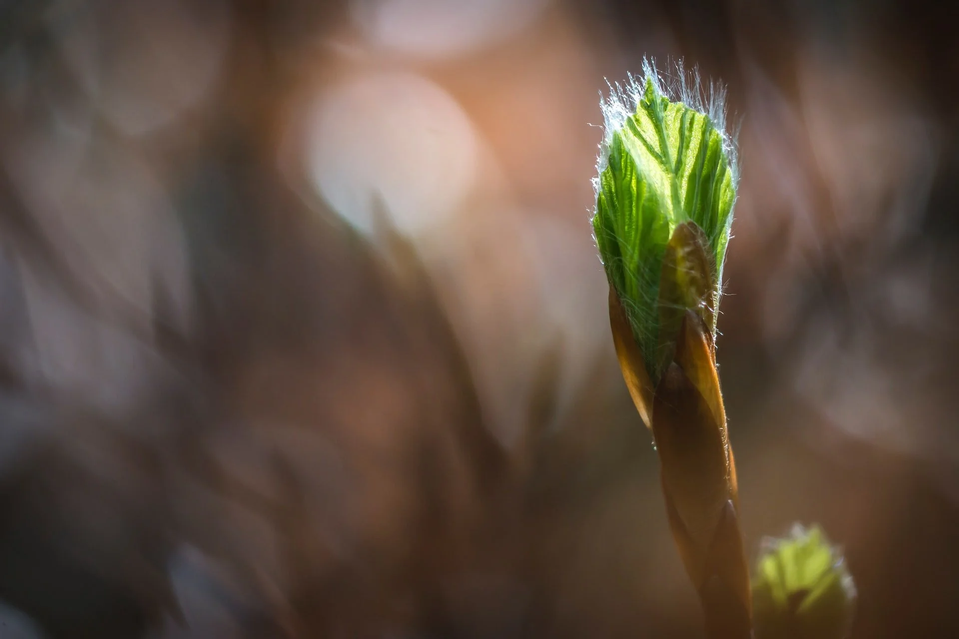 Energy update - spring equinox