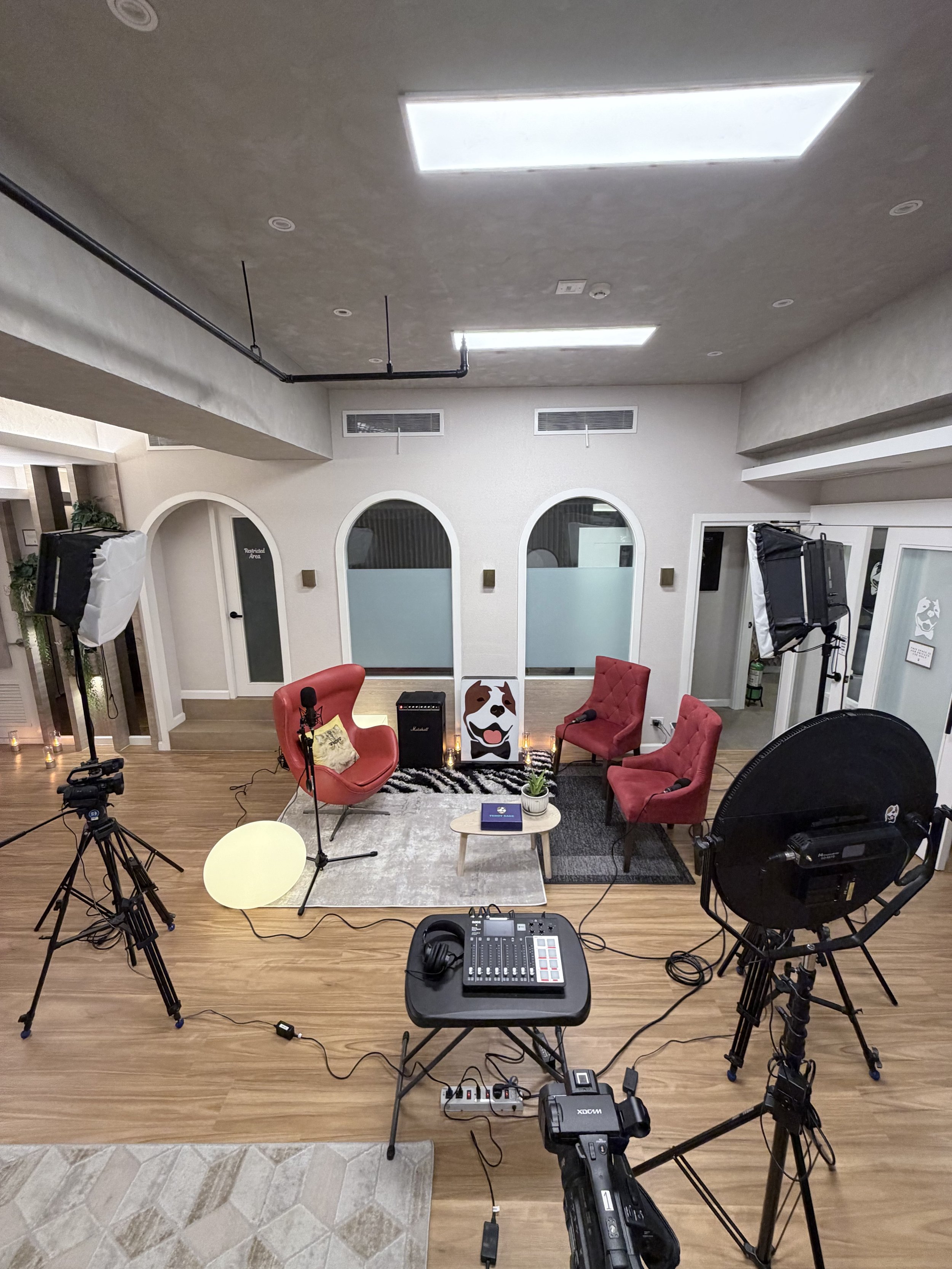 Indoor recording studio setup with two professional softbox lights, cameras on tripods, a table with audio equipment, microphones, chairs, and a backdrop featuring a dog illustration. The room has white walls with arched doorways and wooden flooring.
