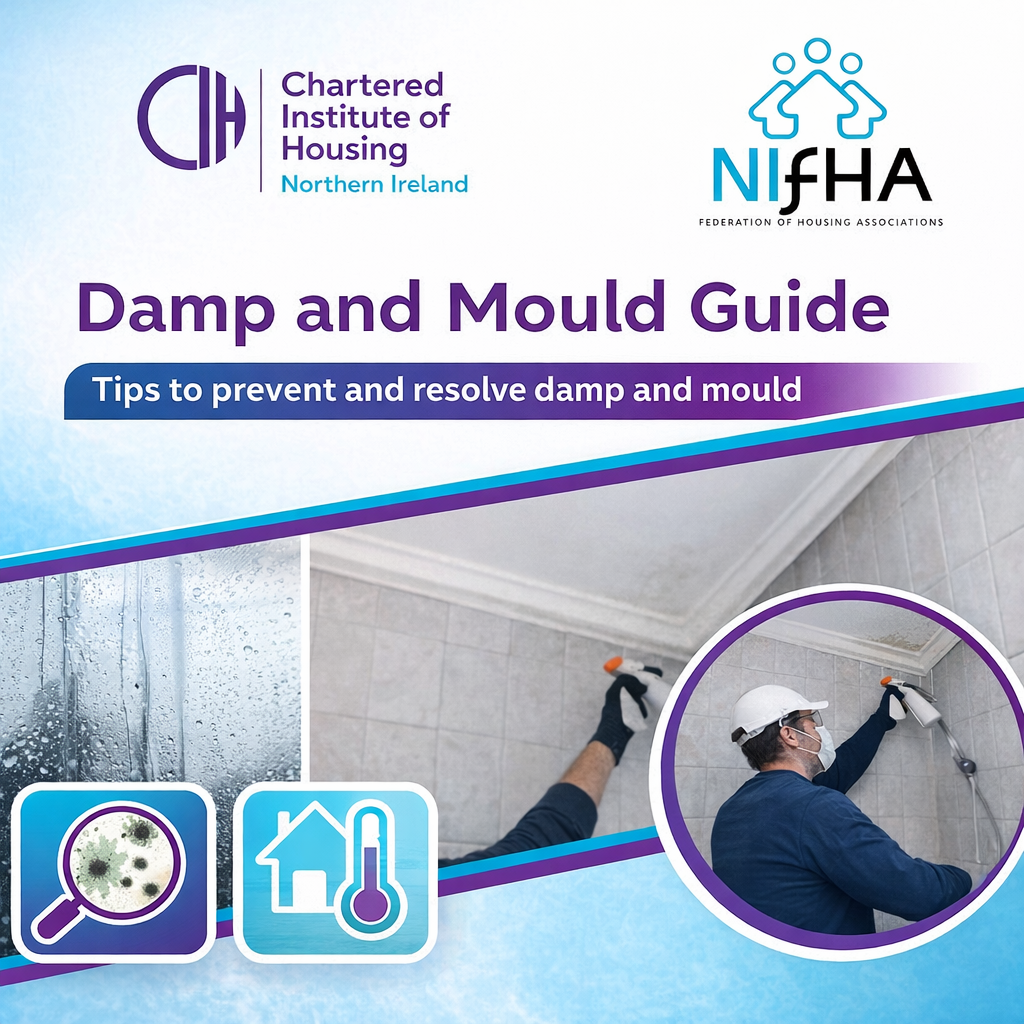 Damp and mould