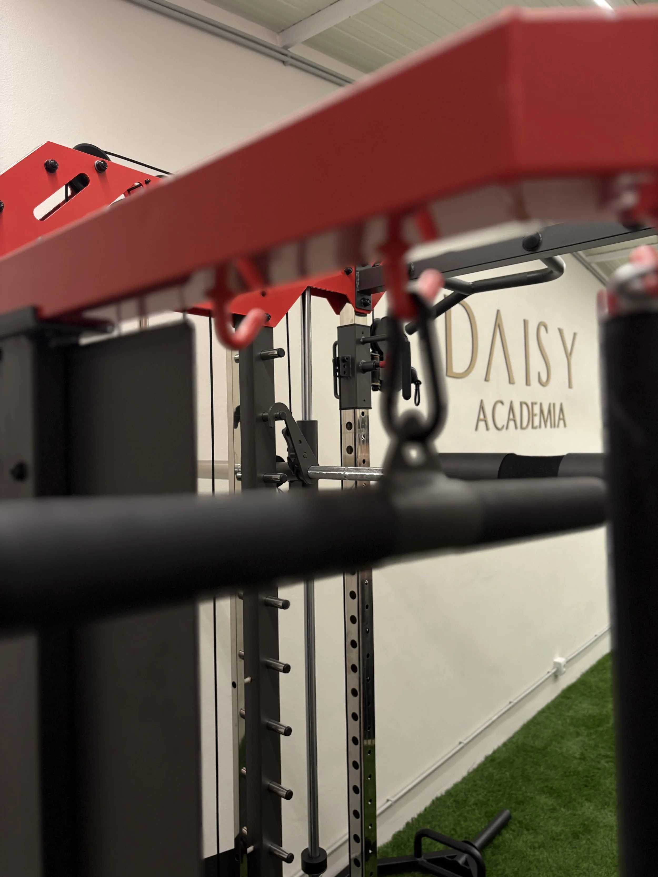 Equipamento de ginástica na academia Daisy Athletica com parede branca e piso de grama artificial.