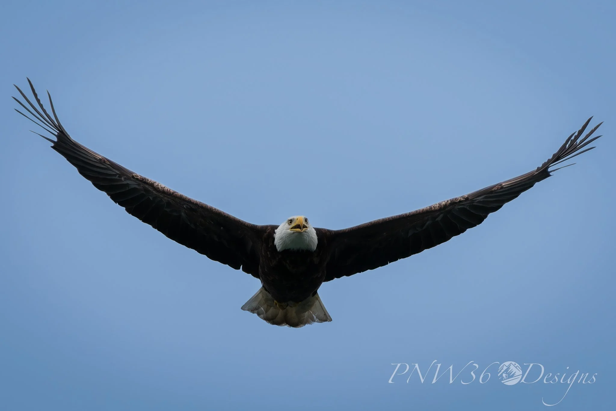 DSC08979-DxO_DeepPRIME XD3-Topaz-Gigapixel-2X.jpg