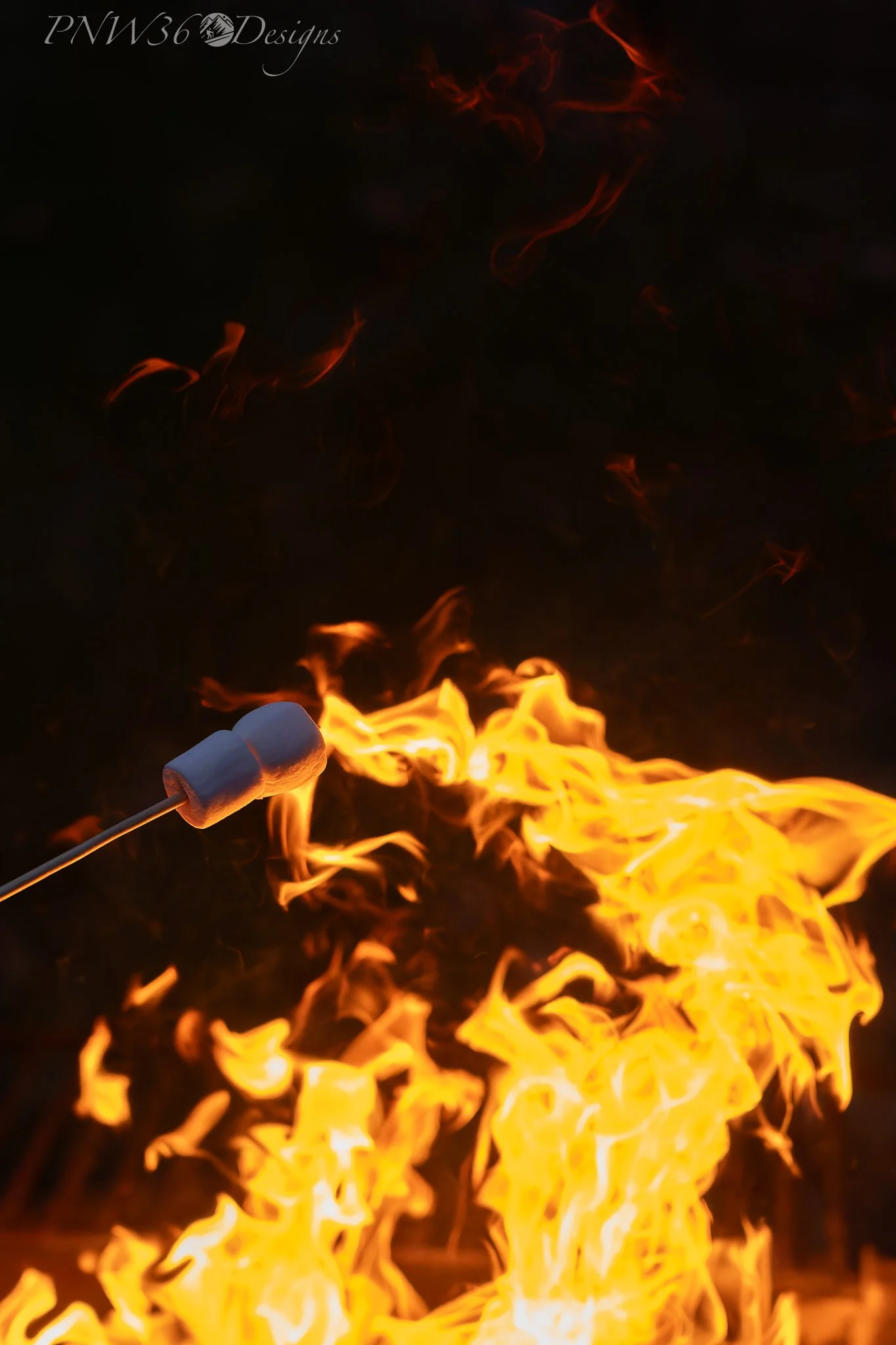 DSC09428-DxO_DeepPRIME XD3.jpg