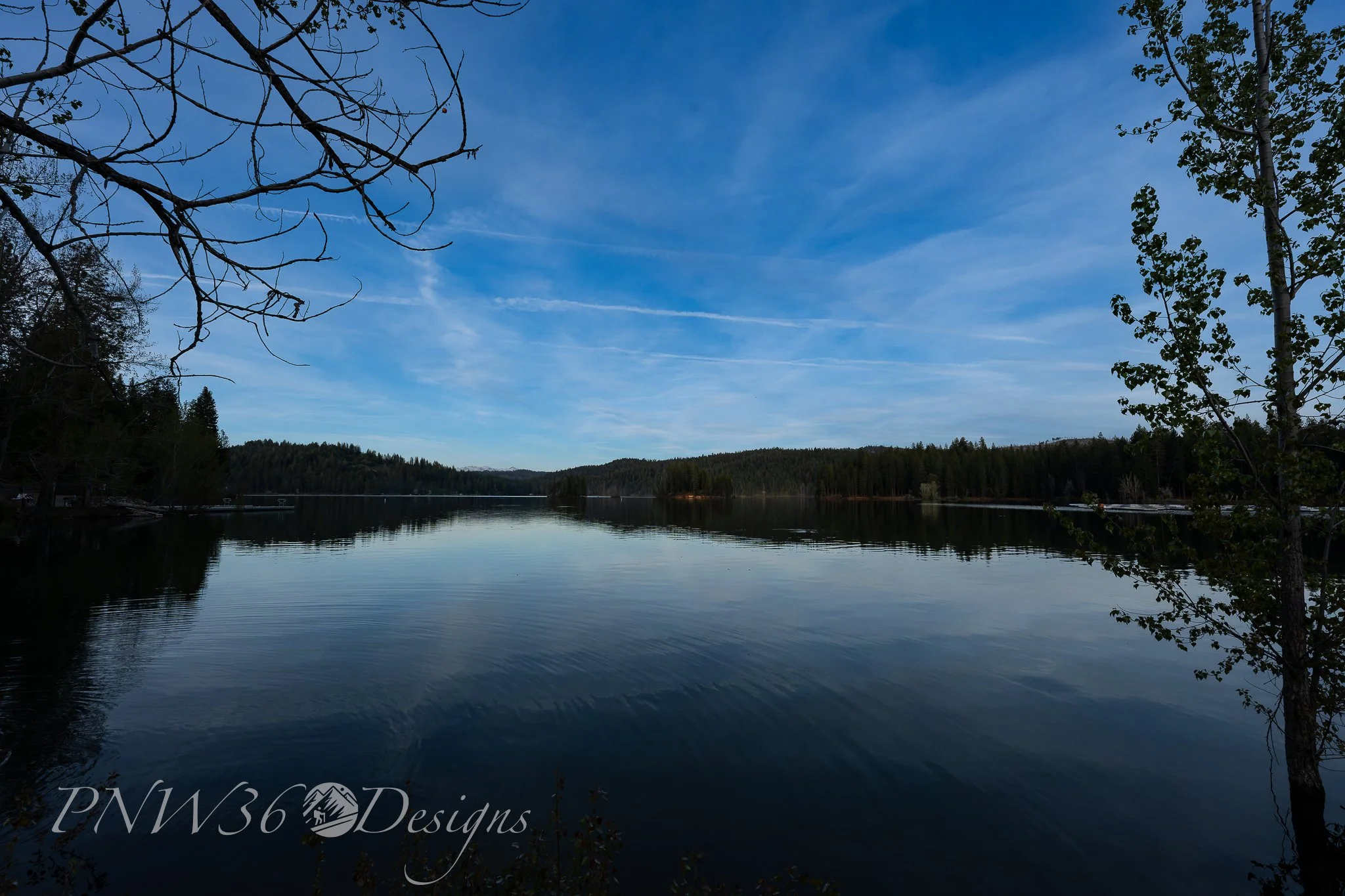 DSC00433-DxO_DeepPRIME XD3.jpg