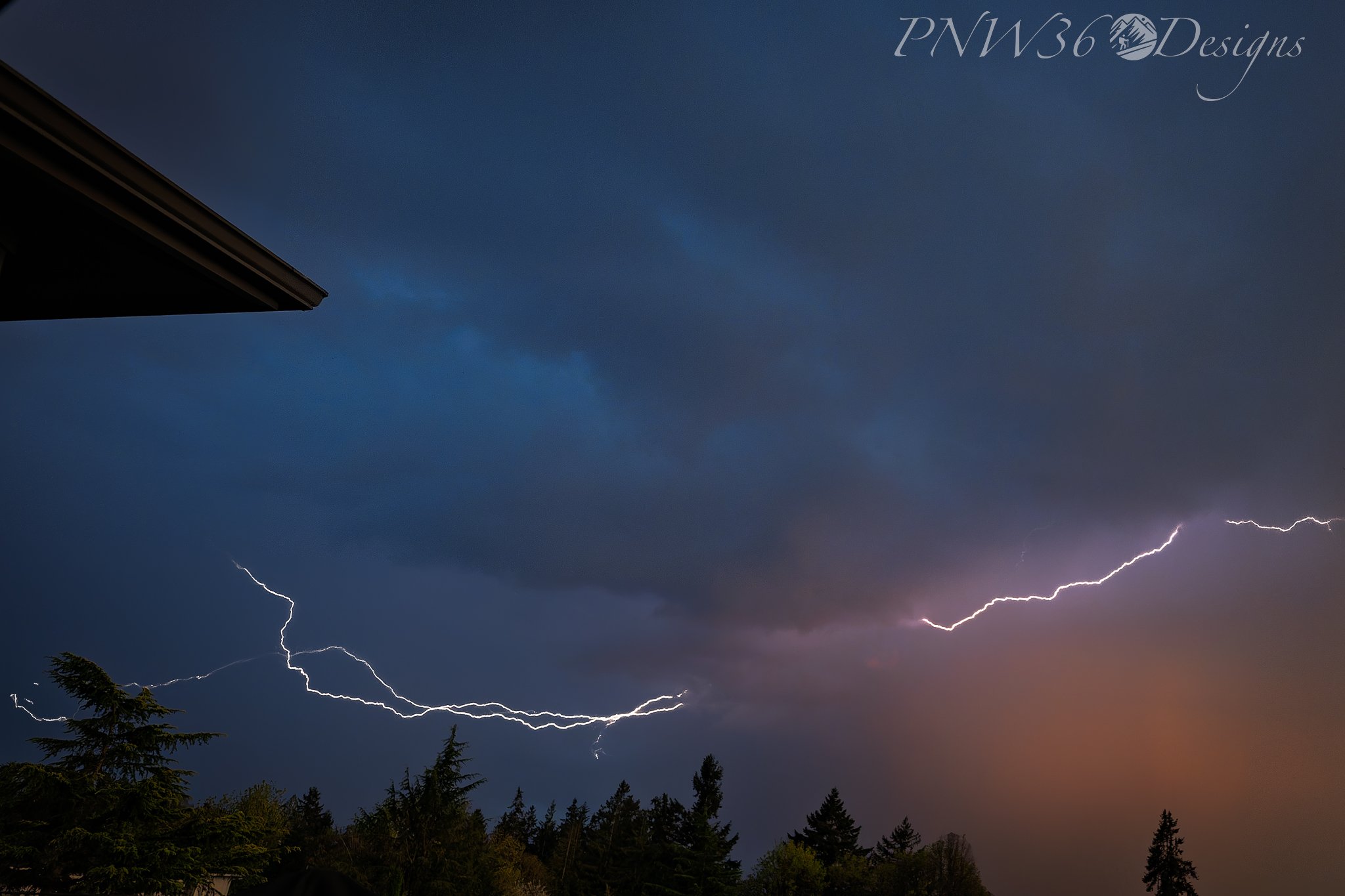 DSC01664-DxO_DeepPRIME XD3-2.jpg