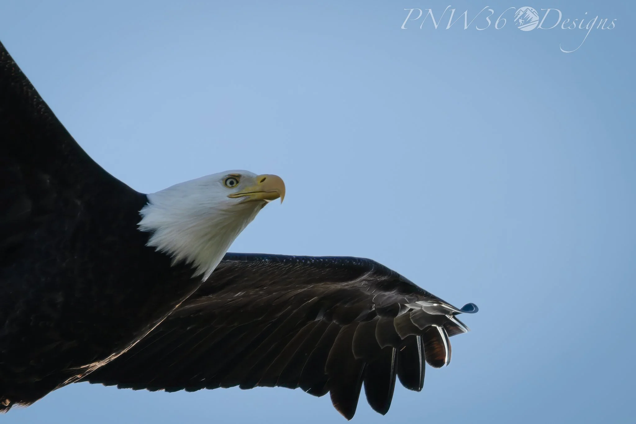 DSC09915-DxO_DeepPRIME XD3-Topaz-Gigapixel-2X.jpg