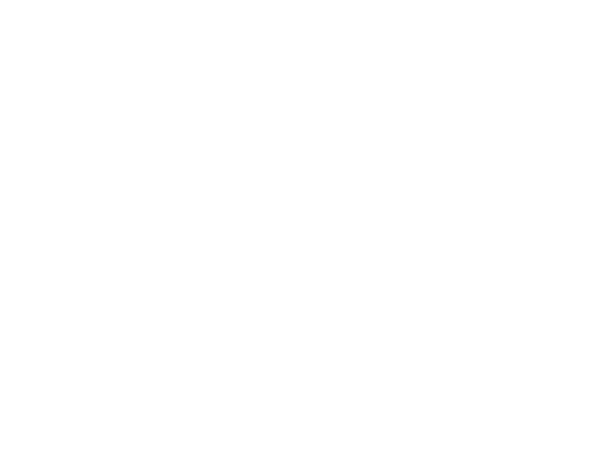 Silk Shells Consulting