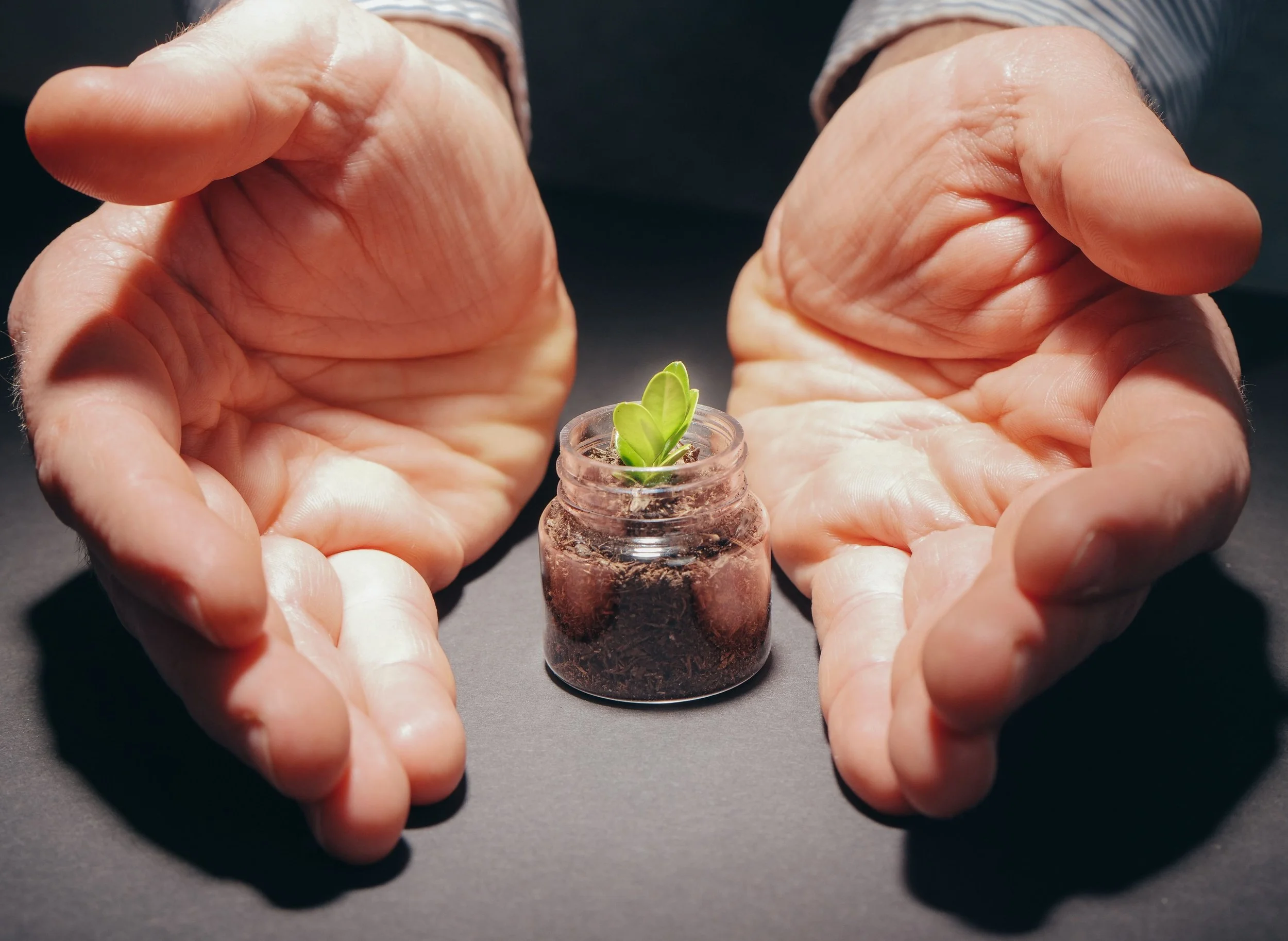 Close-up of two hands framing a small sprout growing out of a soil-filled glass container.