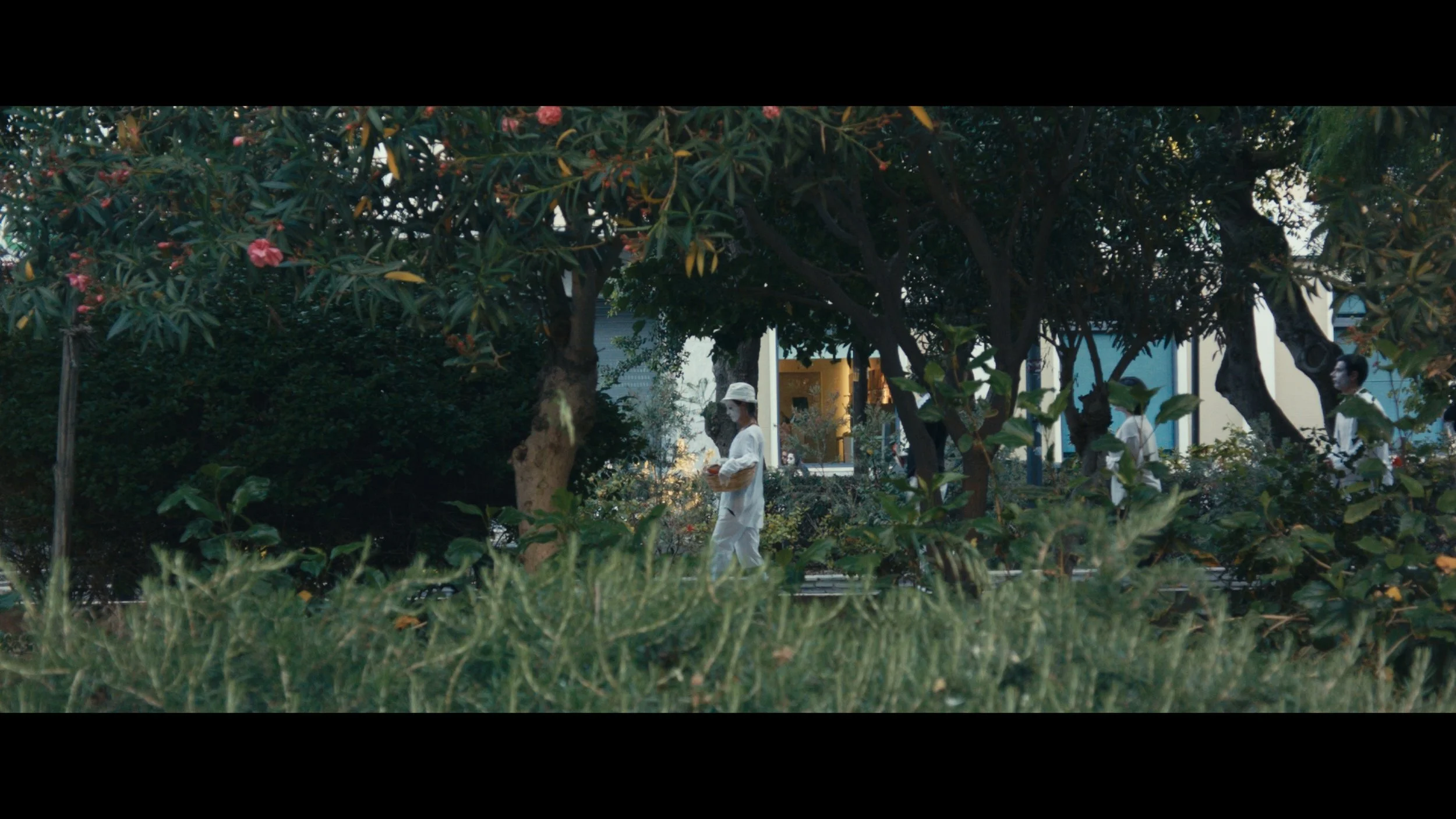 Still 2025-10-23 092724_1.1.1.jpg