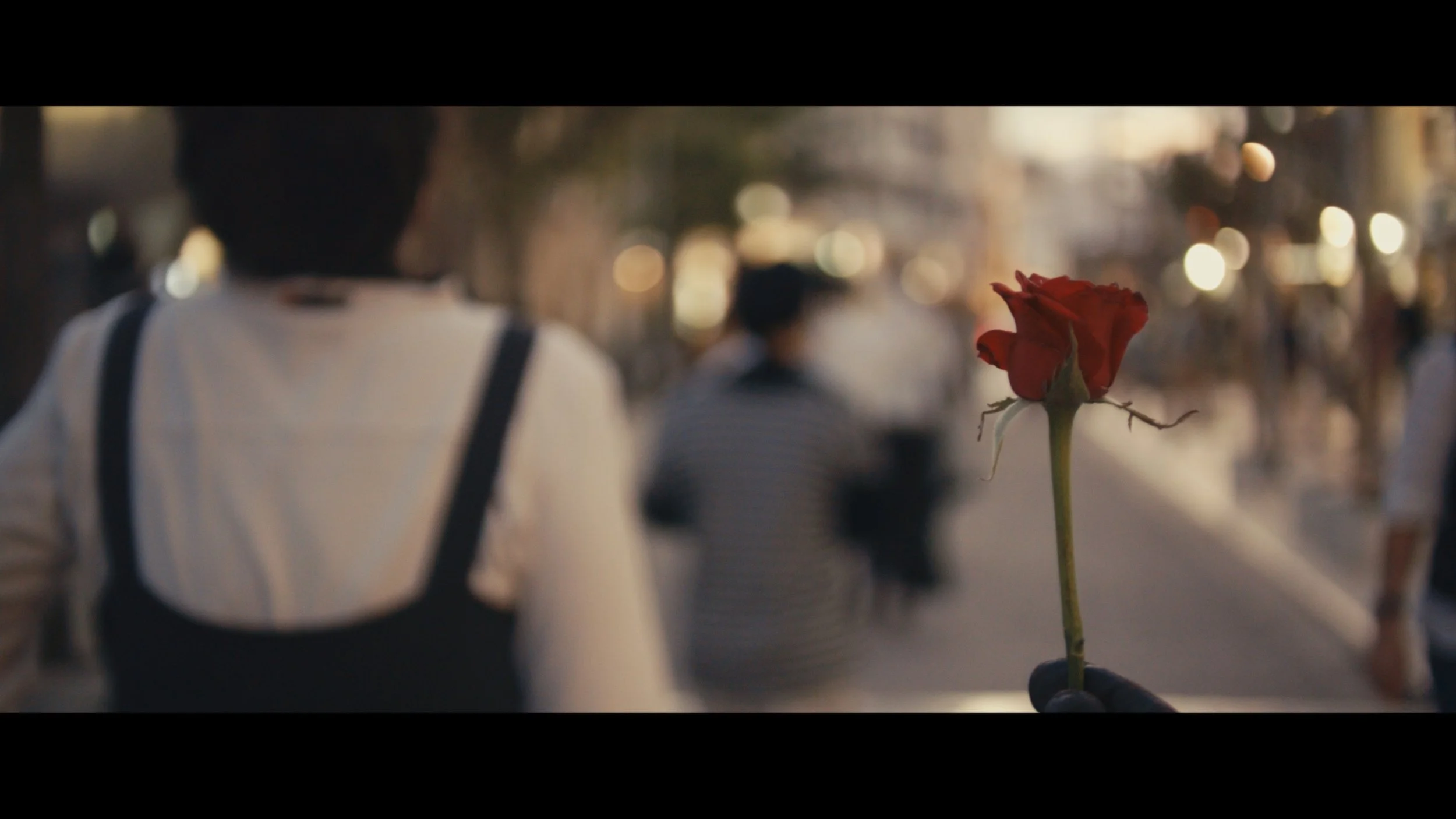 Still 2025-10-23 092724_1.1.6.jpg