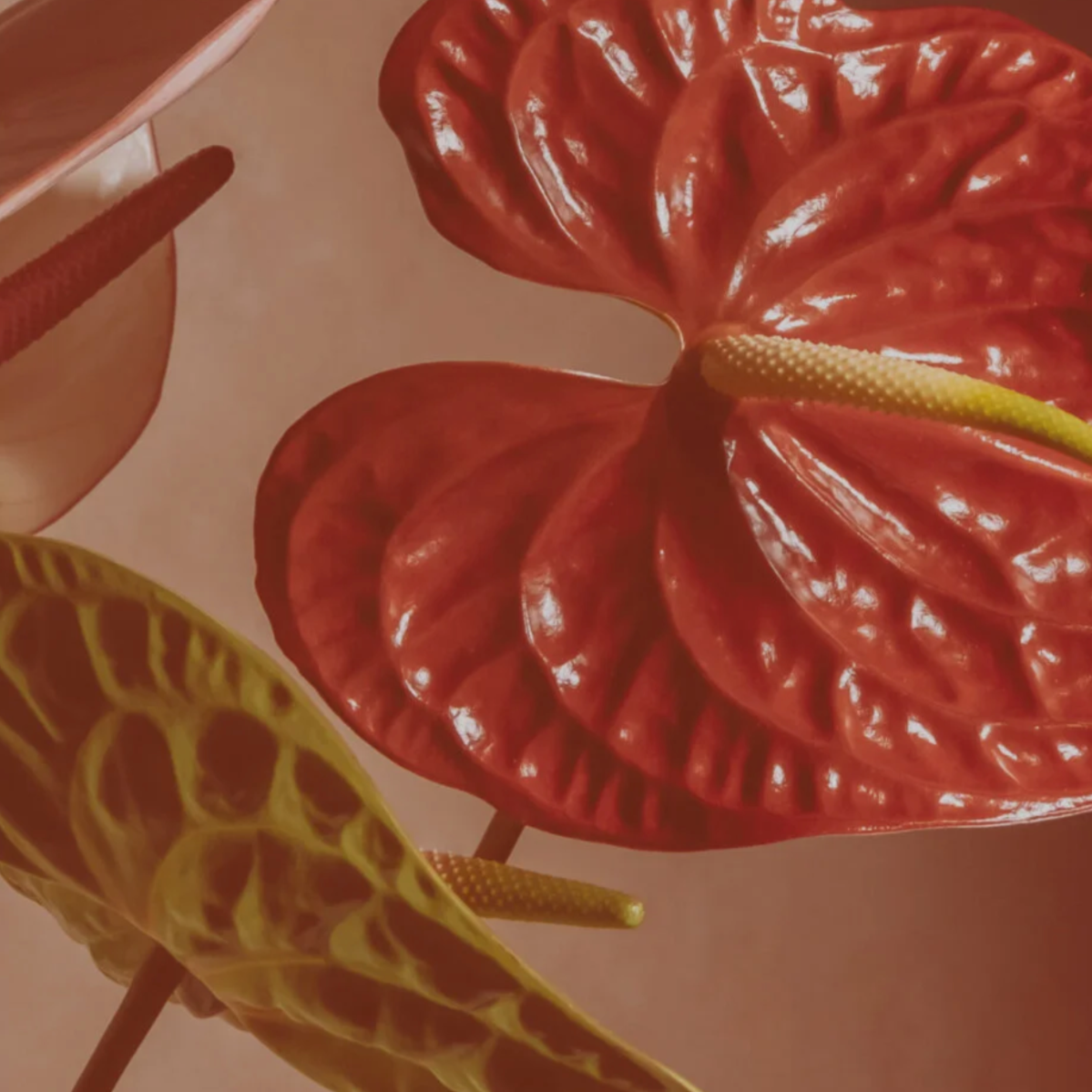 Close-up of artificial tropical flowers, including a large red flower with glossy petals, a yellow flower with orange and green accents, and a partially visible orange flower, all with textured stems.