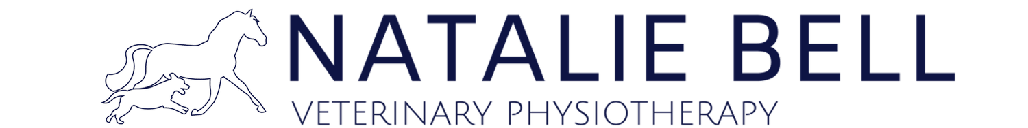 Natalie Bell - Veterinary Physiotherapy