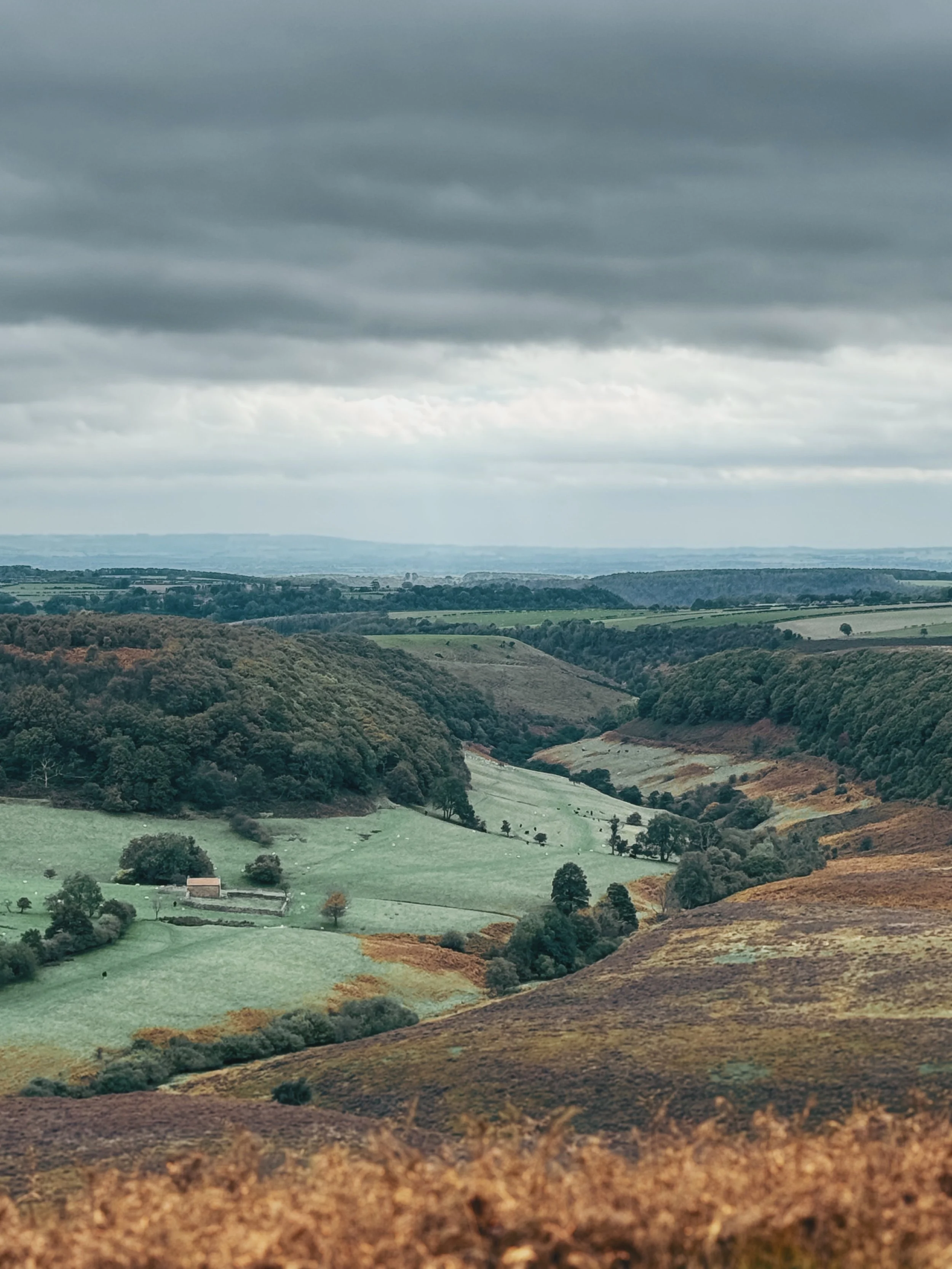 Landscape of rolling hills and farmland under a cloudy sky.