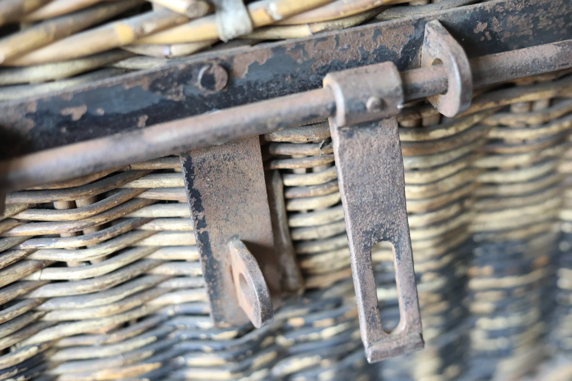 1L1A1950.jpeg