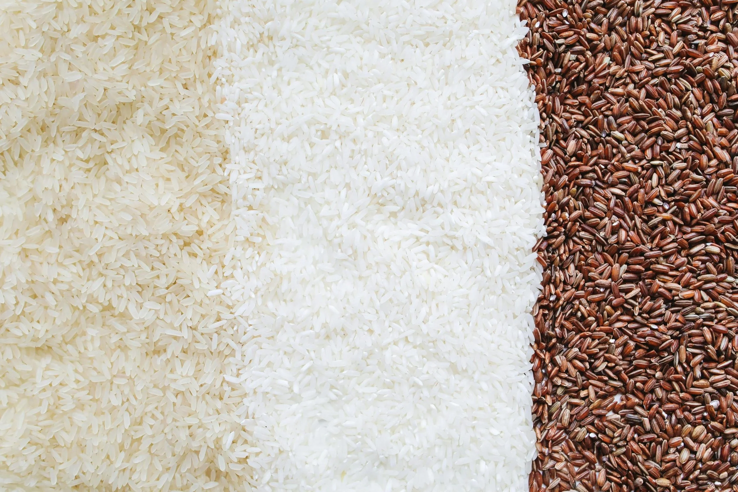 Is The Price Of Rice Becoming Unaffordable?
