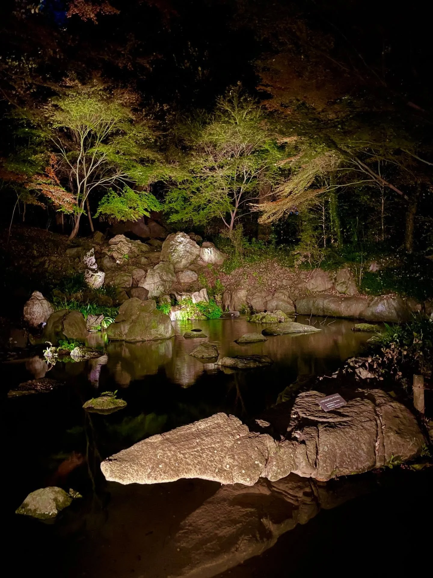 Evening Light-Up Event at Rikugien Gardens in Tokyo 🍂🍁

Last year the autumn colours weren't quite there at the time so this year they held the event a couple of weeks later...

Rikugien is one my favourite places in Tokyo! It's an amazing place to