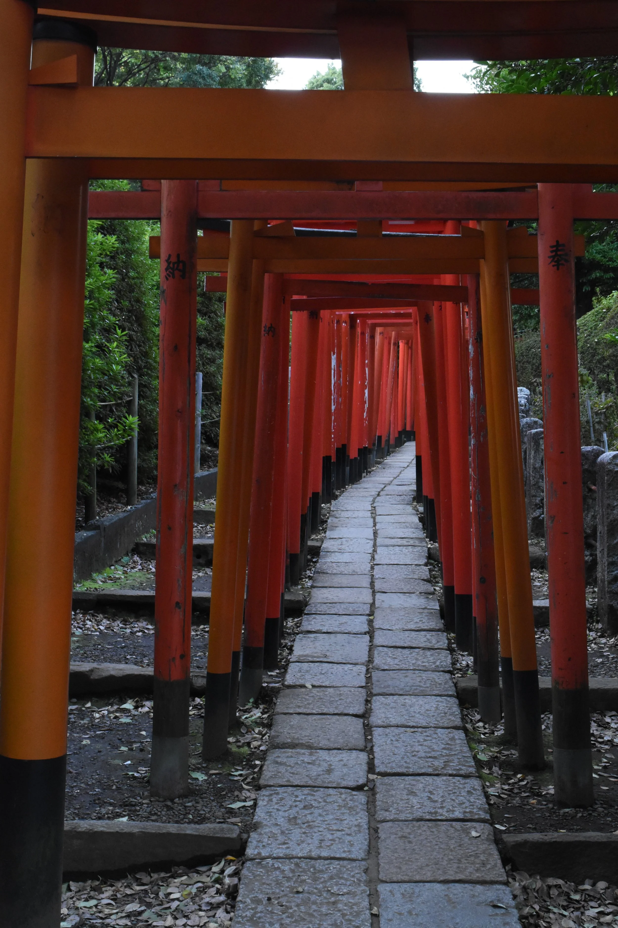 Nezu-jinja