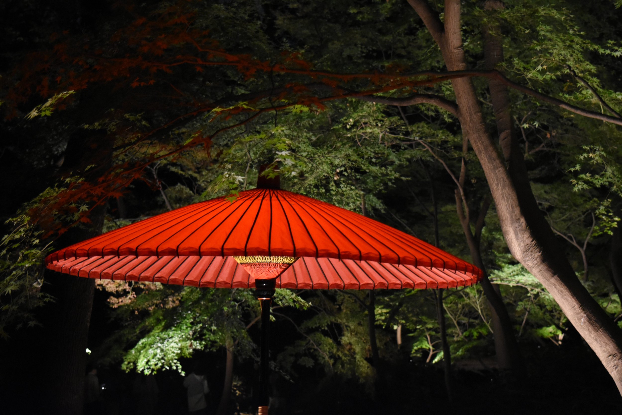 Rikugien Gardens - Light-Up