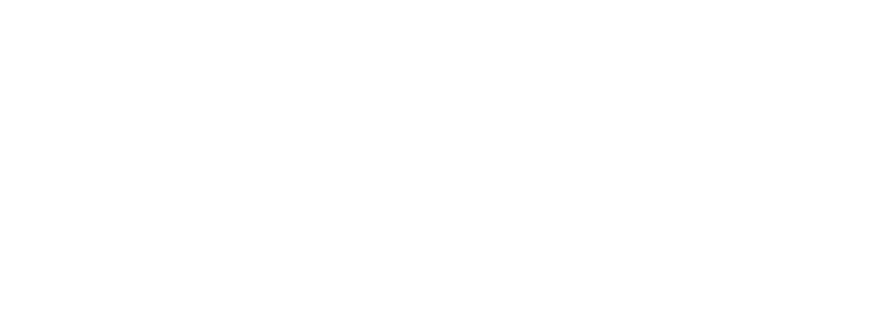 BASTON