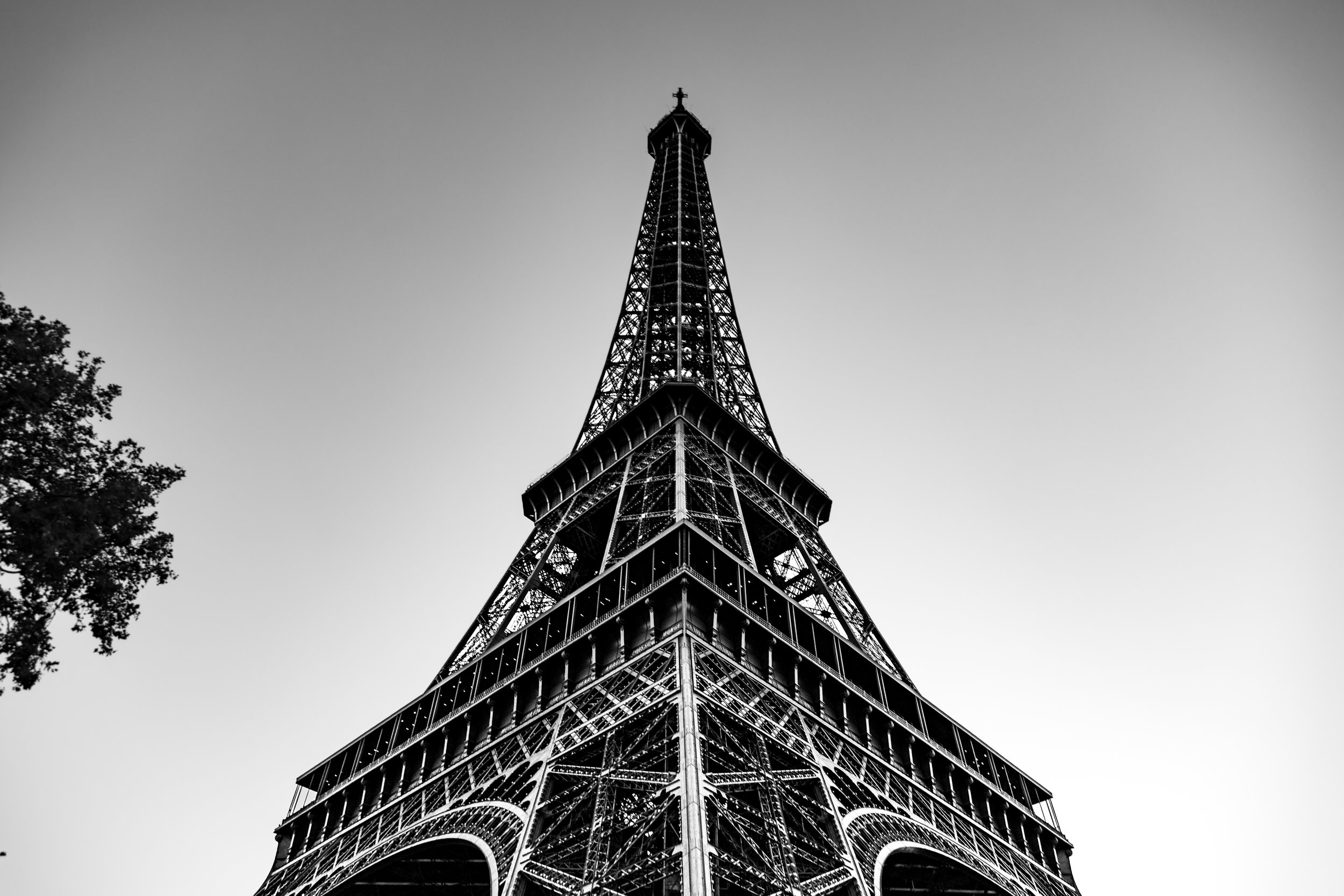 2025-08-15-0837.jpg