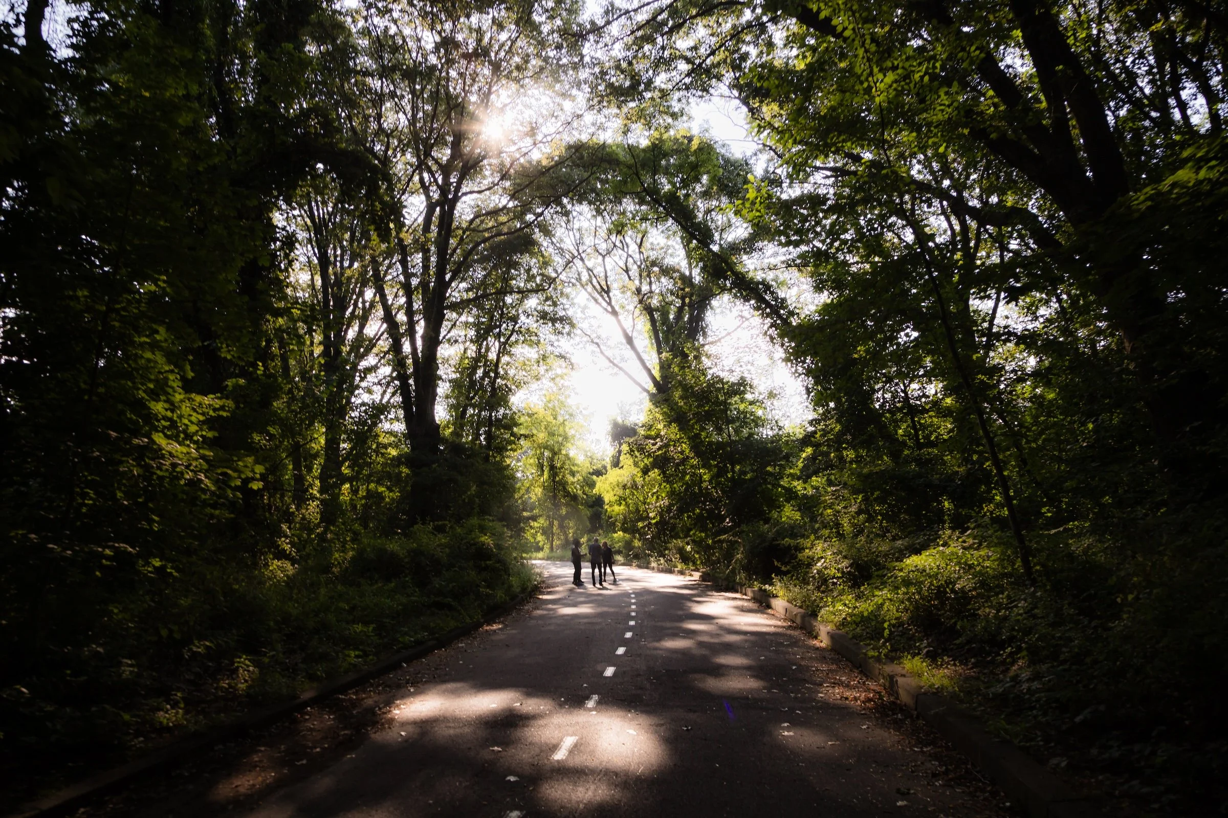 Standing In The Light - Click To Purchase Print