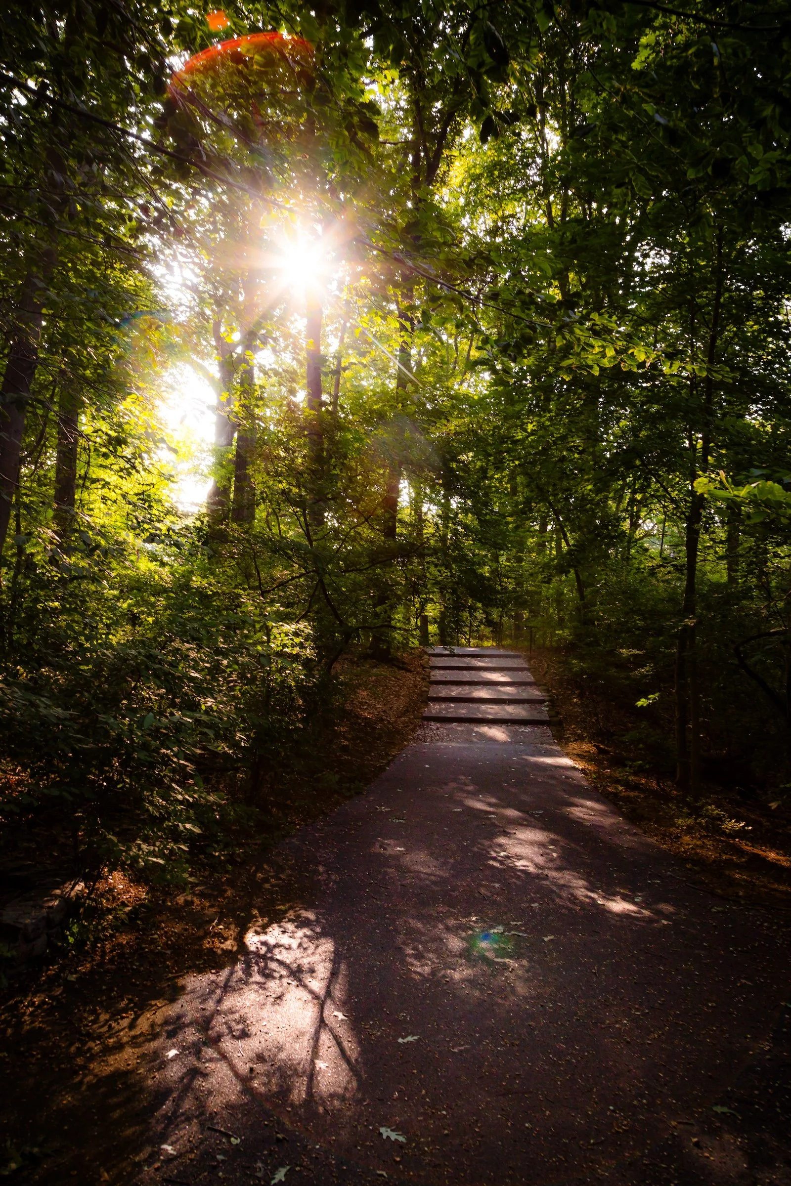 Steps Sunburst - Click To Purchase Print