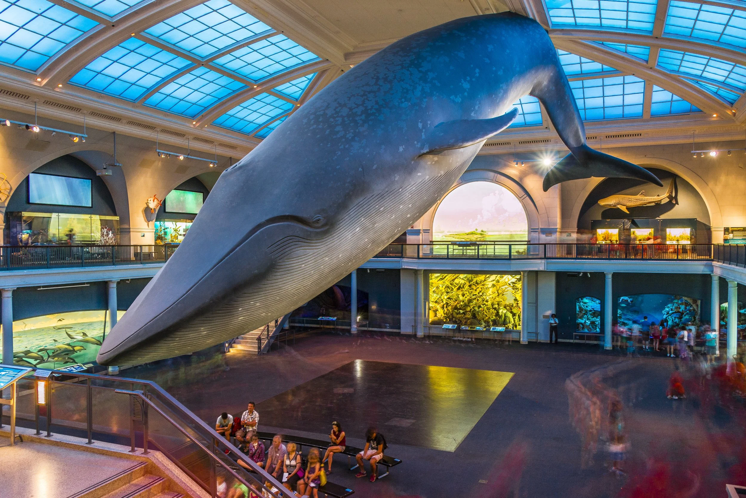A large whale sculpture hanging inside an aquarium, with visitors sitting and walking around the spacious area, fish tanks, and other marine displays in the background.