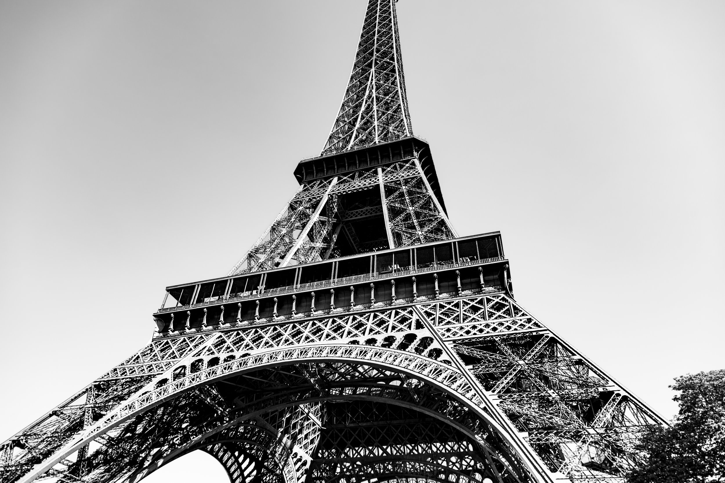 2025-08-15-0237.jpg