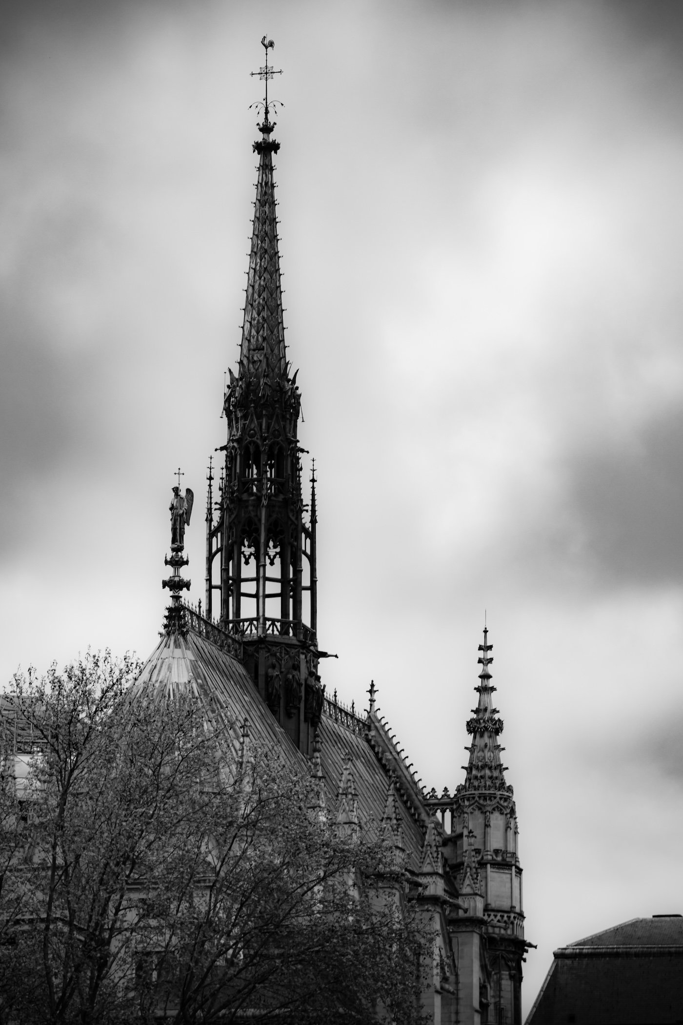2026-04-05-0003.jpg