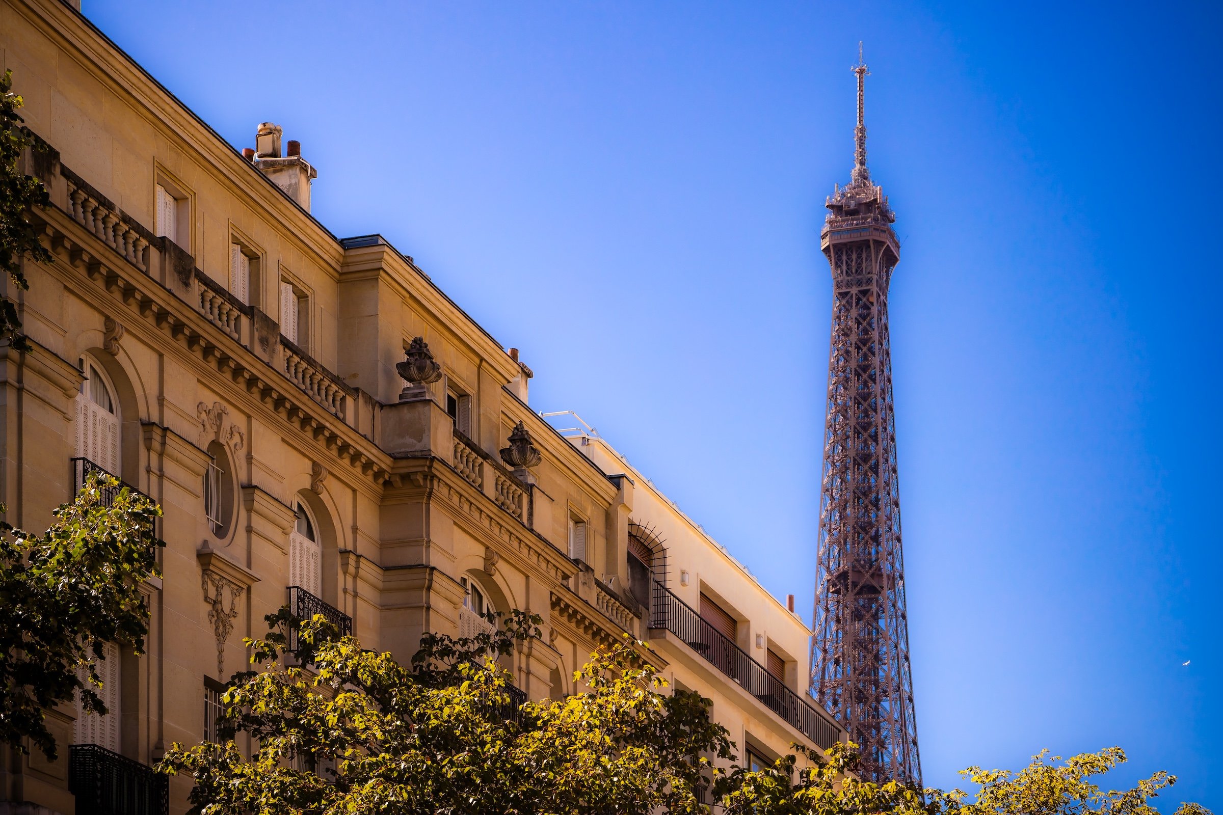 Parisian building with balconies and trees in front, with the Eiffel Tower in the background under a clear blue sky.