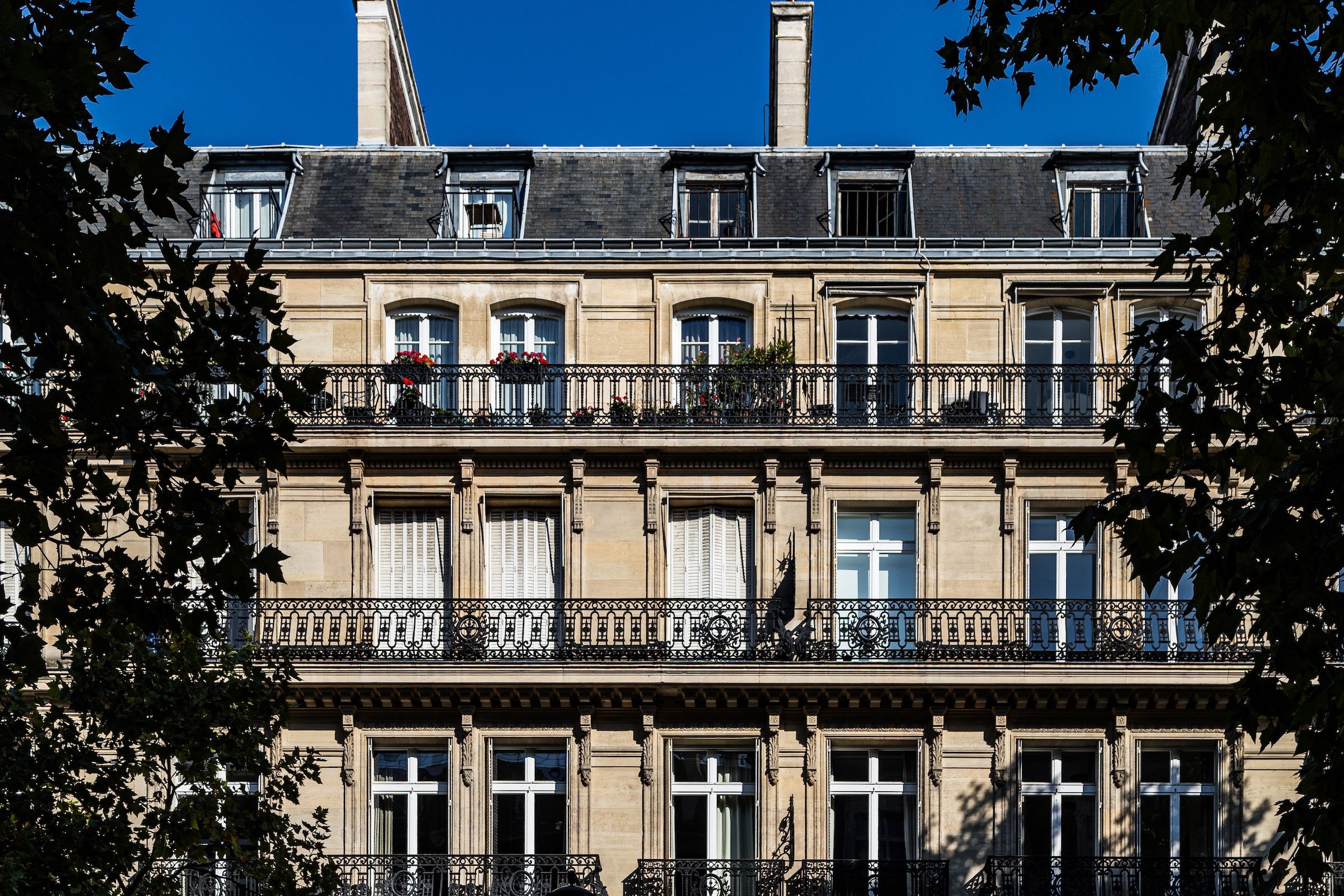 2025-08-15-0358.jpg