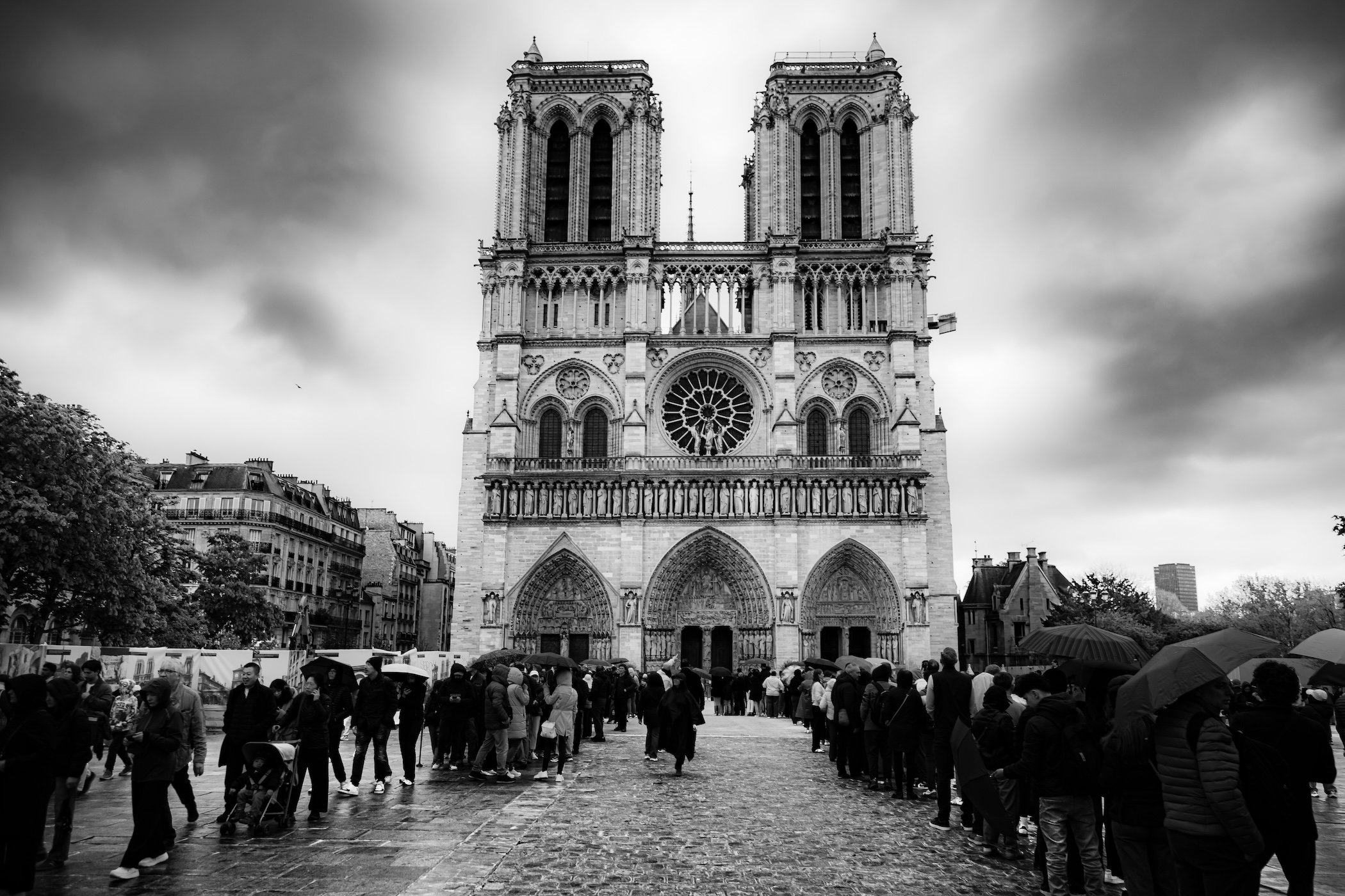 2026-04-05-0051.jpg