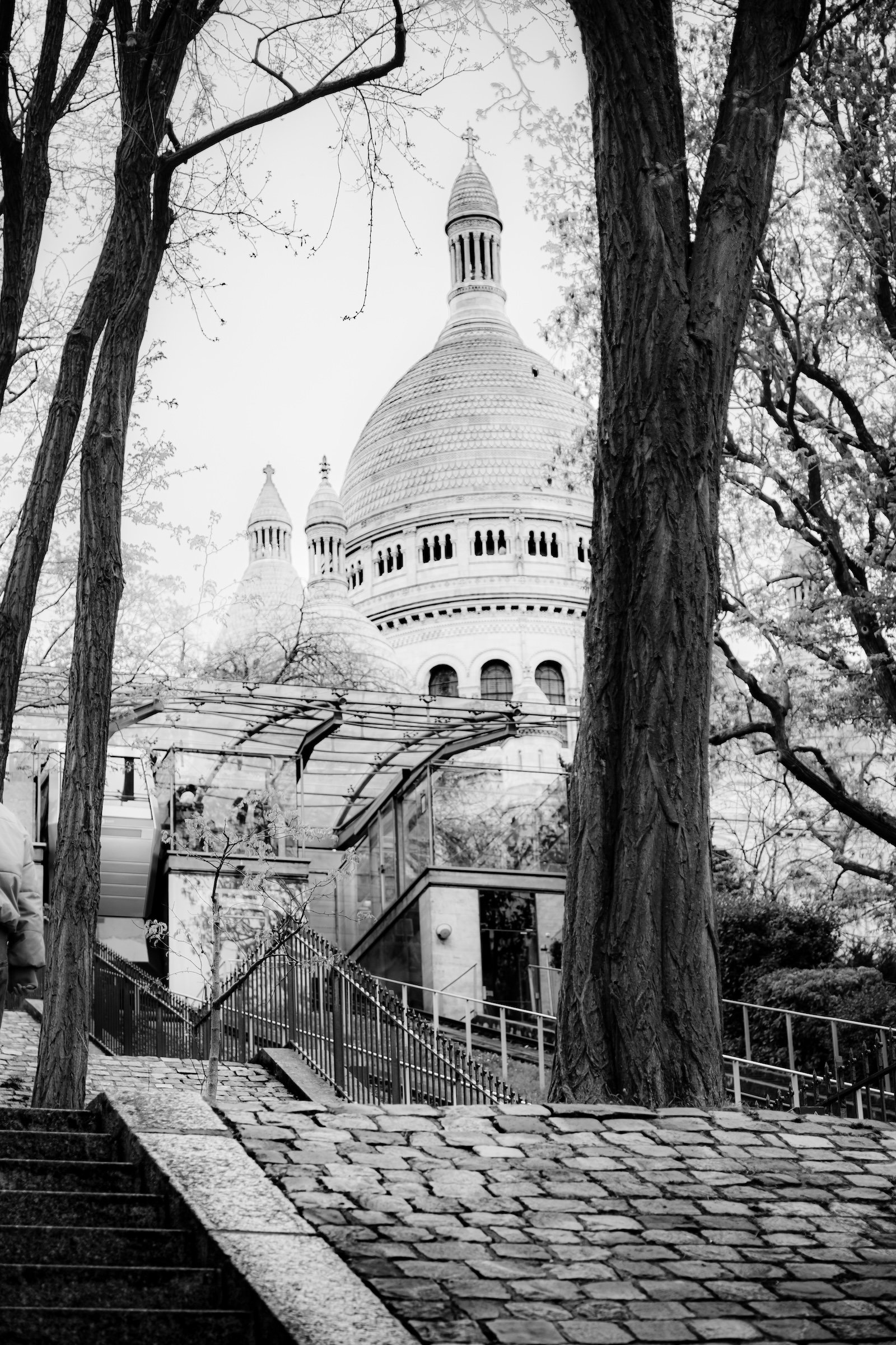 2026-04-04-0867.jpg