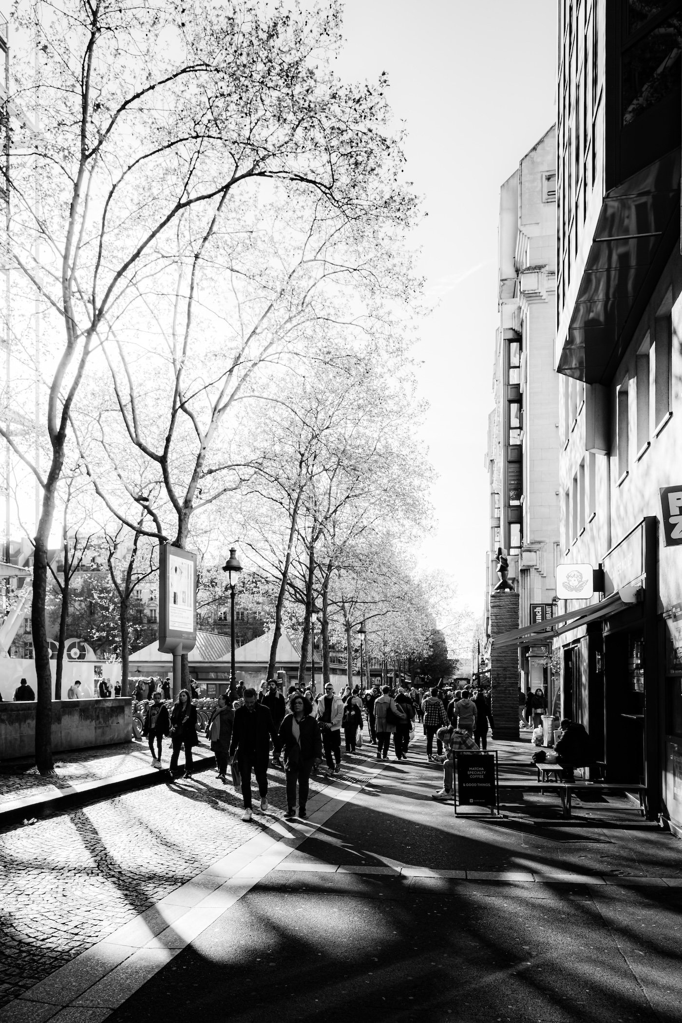 2026-04-04-1090.jpg