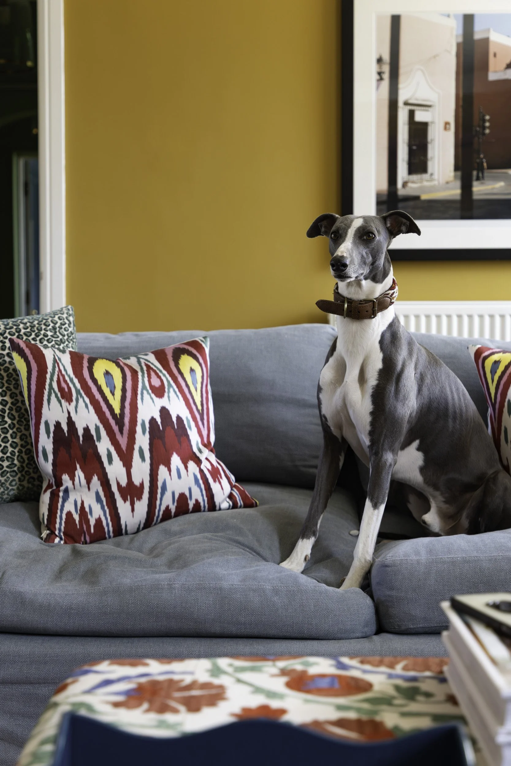 Francesca Leat Interiors_Francescas Home_Low res - 113.jpg