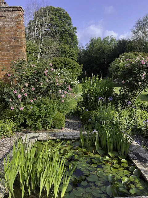 Francesca Leat Interiors_Francescas Home_Garden.jpg