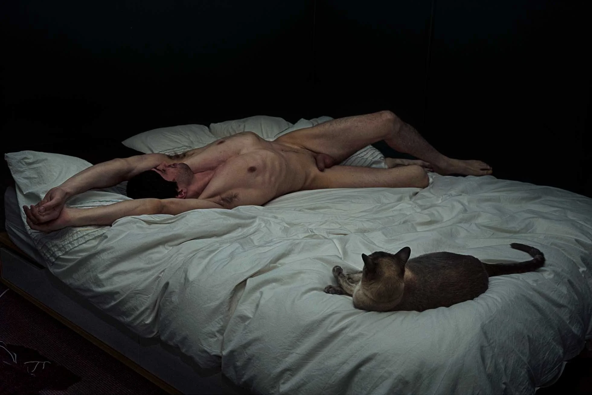 Hervé LassÏnce: Nue galerie 13.jpg