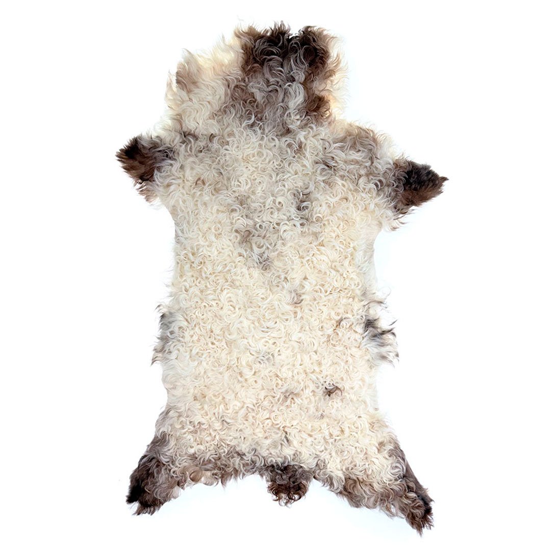 Lammskinn – ljusa naturtoner med tät och livfull lockstruktur