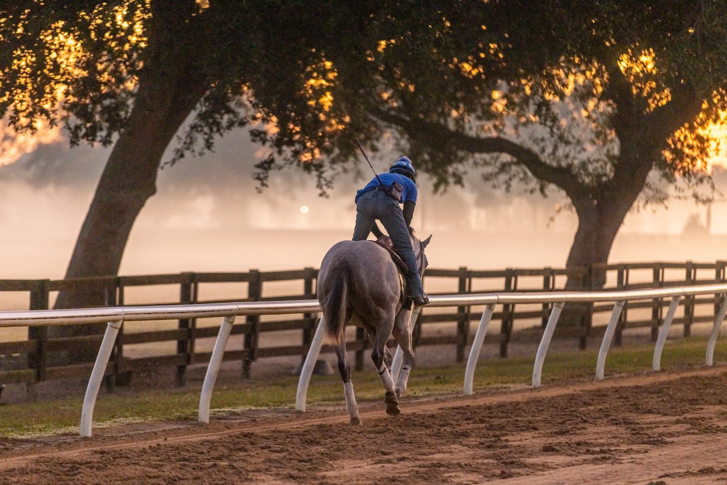 A jockey riding a racehorse around a racetrack at dawn or dusk with large trees and soft lighting in the background.
