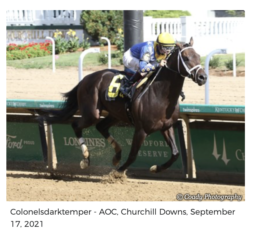 Screenshot 2025-12-15 at 11.54.47 AM.png