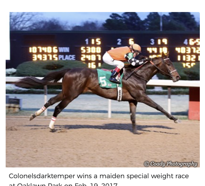 Screenshot 2025-12-15 at 11.54.57 AM.png