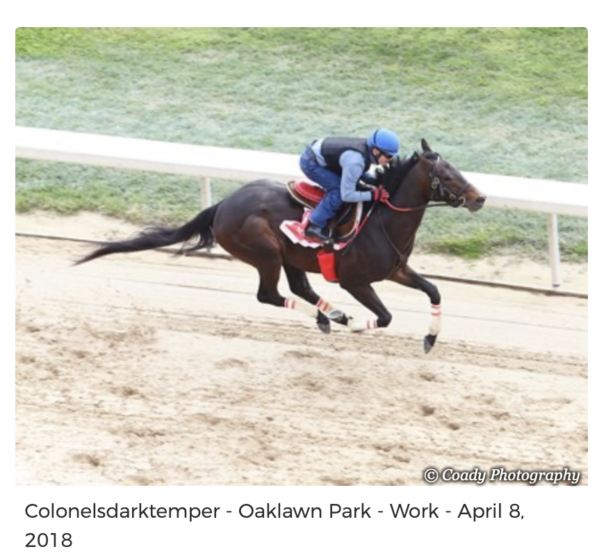 Screenshot 2025-12-15 at 11.56.33 AM.png