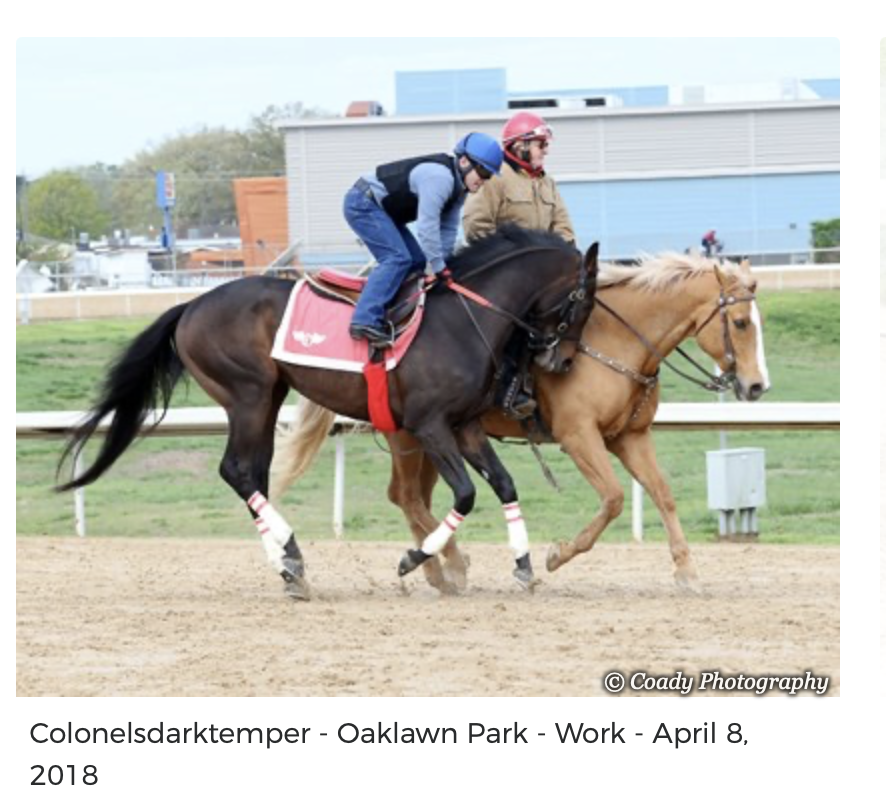 Screenshot 2025-12-15 at 11.56.40 AM.png