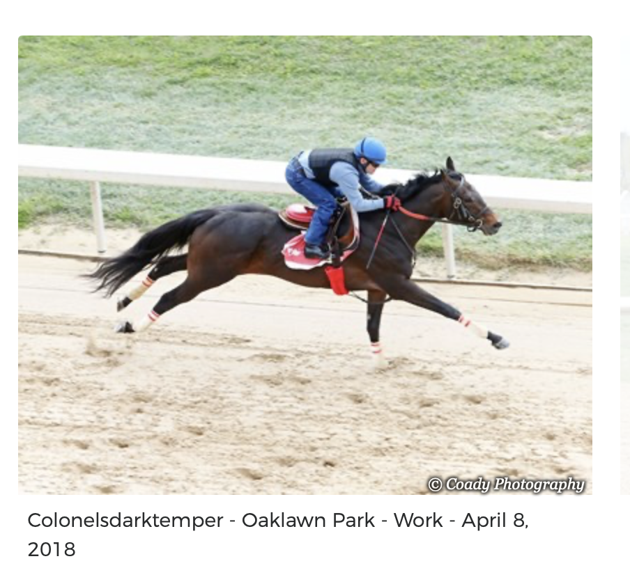 Screenshot 2025-12-15 at 11.56.46 AM.png