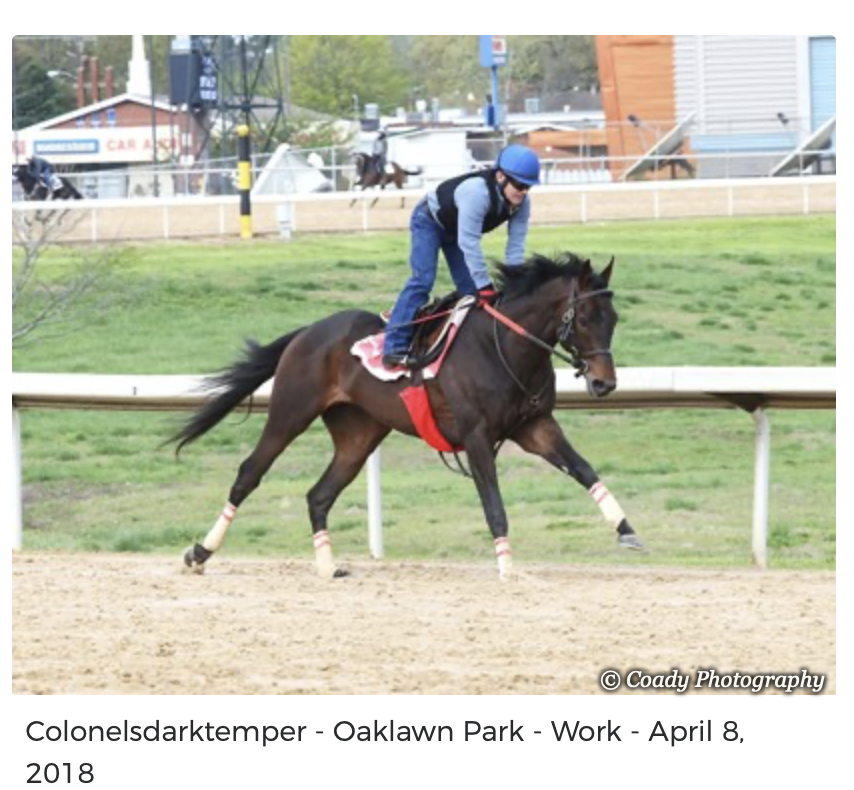 Screenshot 2025-12-15 at 11.56.55 AM.png