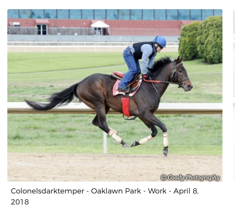 Screenshot 2025-12-15 at 11.57.01 AM.png